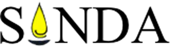 preschool singapore expert